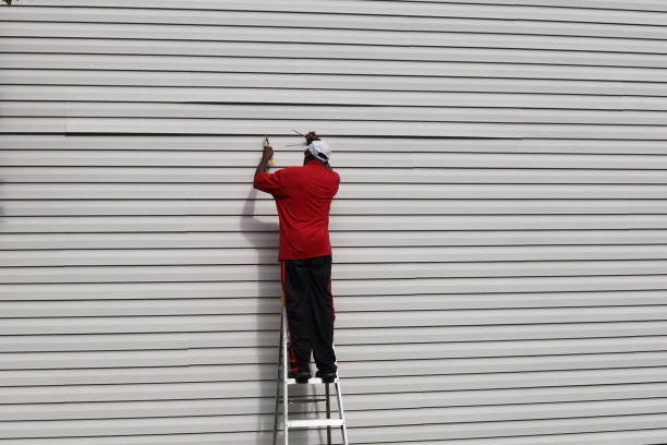 Affordable Siding Repair and Maintenance Services in Murphysboro, IL